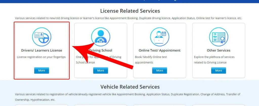 Driving Licence Download PDF
